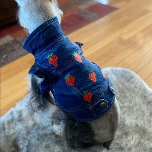 Strawberry Jean jackets
